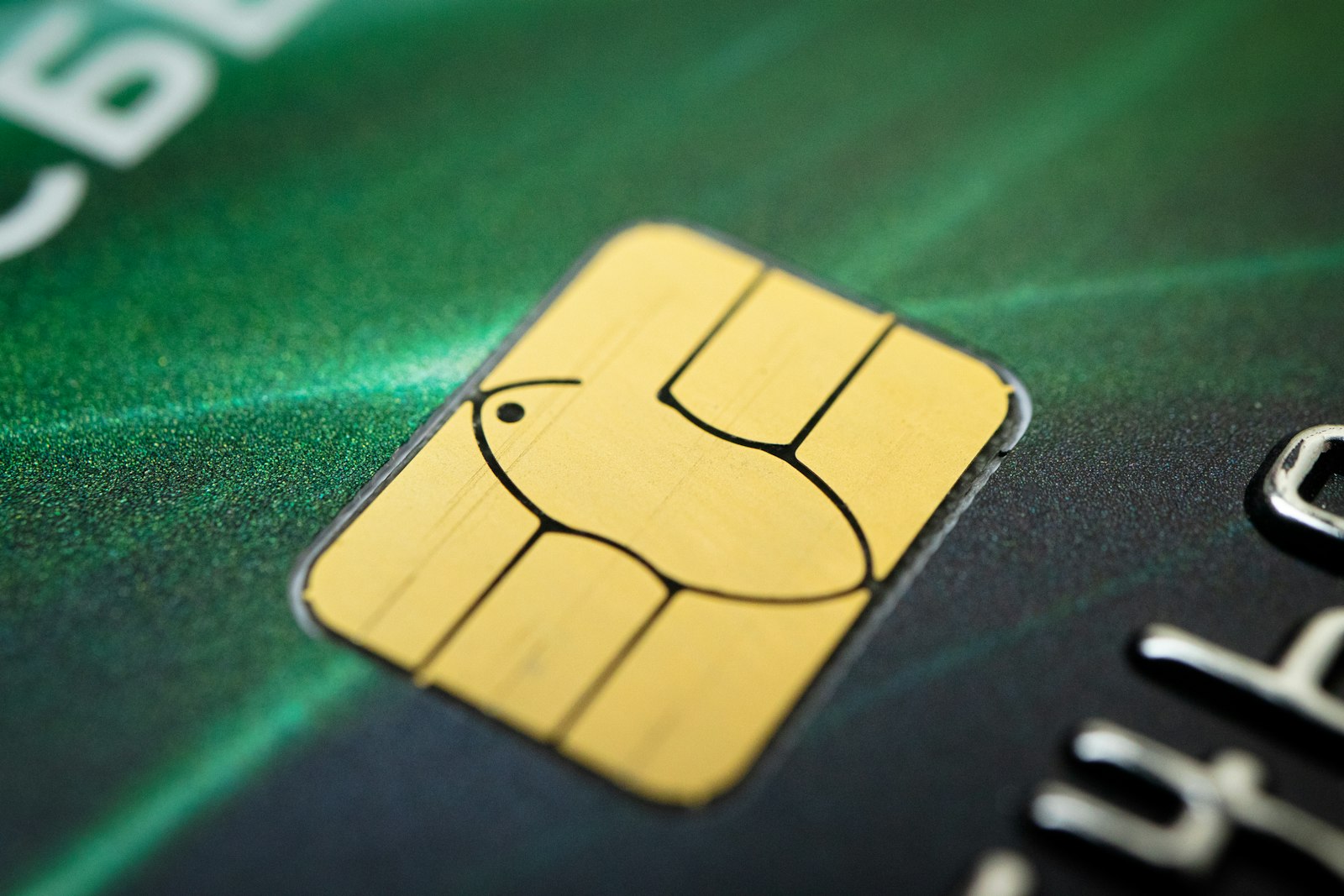 Crypto Cards in 2026: Too Many Cards, One Honest Comparison